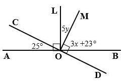 Lines AB and CD are straight lines. Find x and y. Give reasons to justify your solutions-example-1