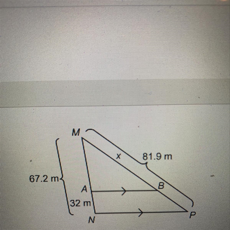 Please help!! What is the value of x?-example-1