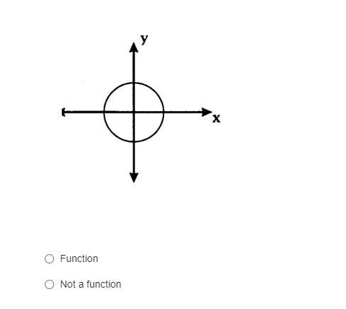 Function or not a function.-example-1