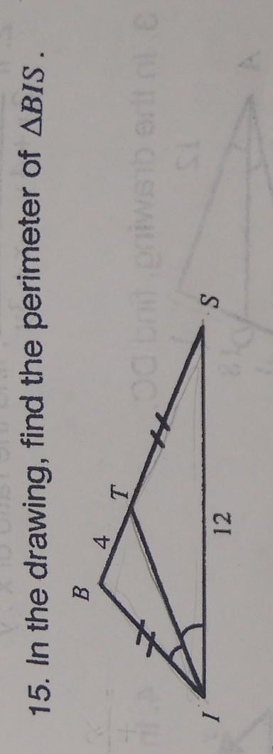 15. In the drawing, find the perimeter of triangle BIS. ​-example-1