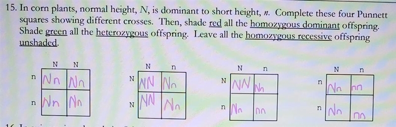 Will anyone help me on this? what do i shade green and red?? please let me know! everyone-example-1