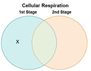 Due in 10 minutes Laaj made a Venn diagram to compare and contrast the two stages-example-1