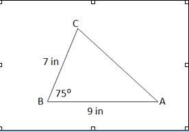 Find the area of Show your work and use appropriate units.-example-1