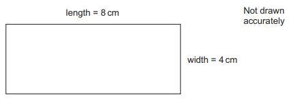 YEAR 9 MATHS -SYMMETRY QUESTION Tick whether the statement below is true or false-example-1