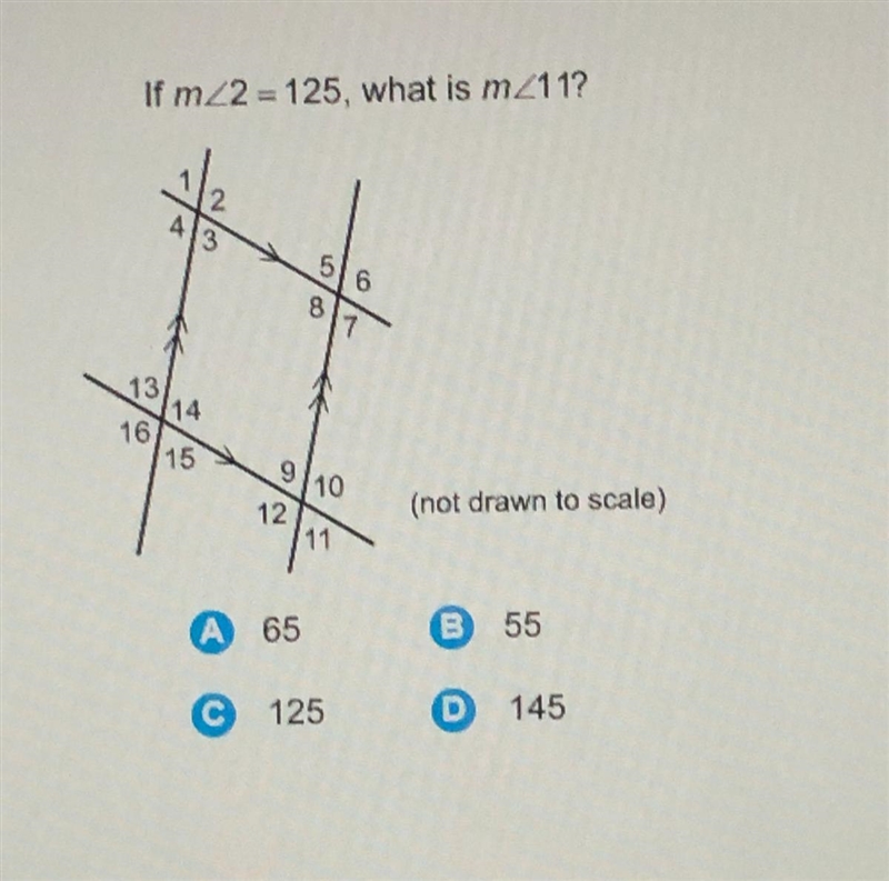 What is m< 11? PLZ HURRY-example-1