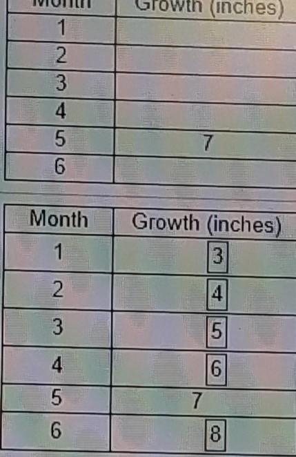 A plant grew 7 inches in 5 months. The plant grows the same amount each month. Use-example-1