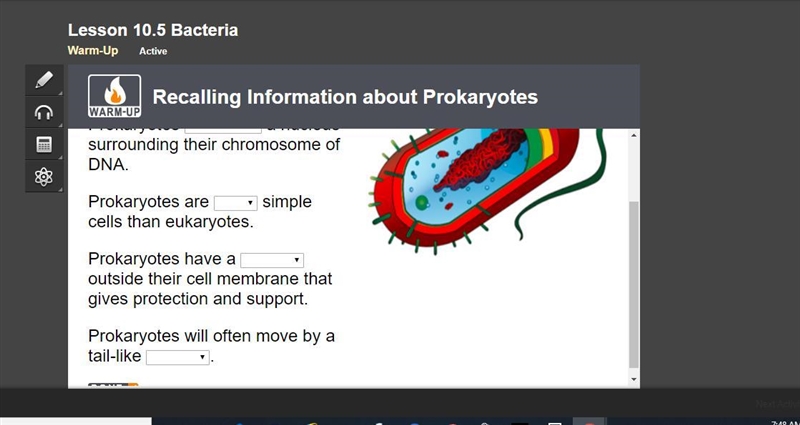 Use the drop-down menus and the image to complete these statements about prokaryotes-example-1