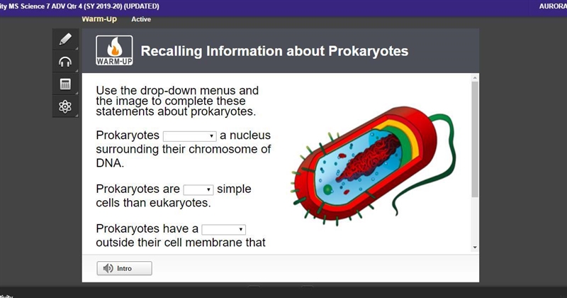 Use the drop-down menus and the image to complete these statements about prokaryotes-example-2