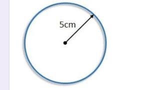 What is the area of this circle? Hint: Use the formula A = pi x r x r. * A. 31.4 square-example-1