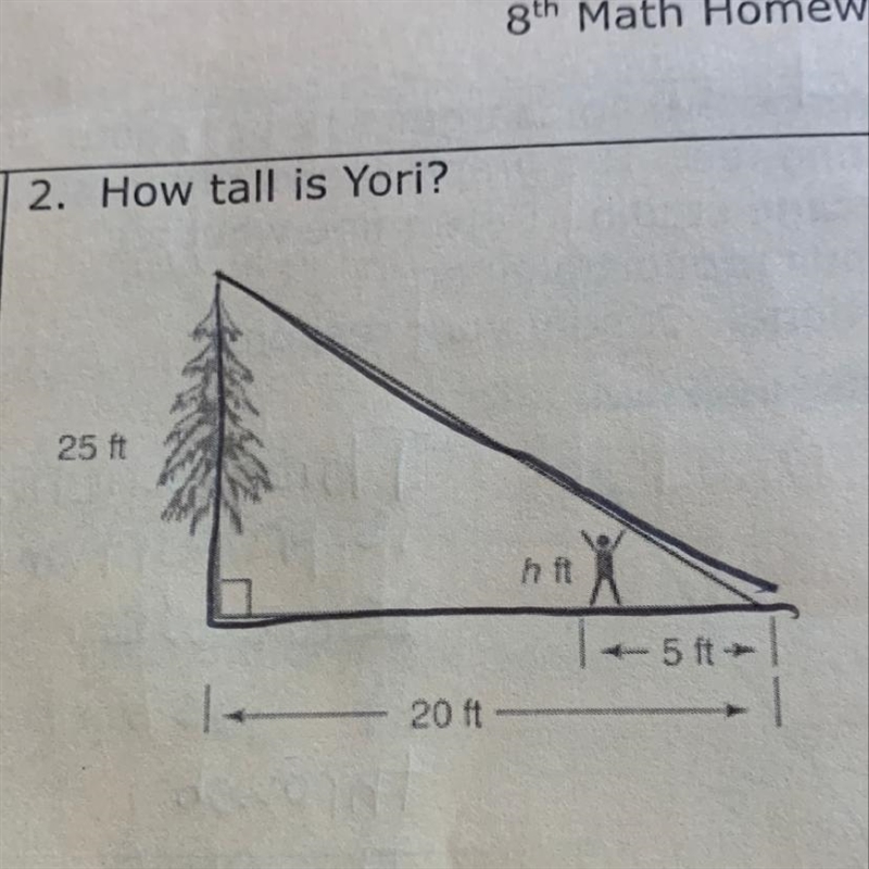 I need help with this question-example-1