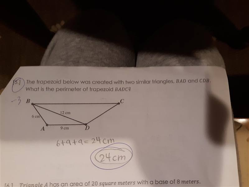 HELP PLEASE!!!!!! I need help on 5. My answer was wrong. THIS IS DUE TOMORROW. 25 points-example-1