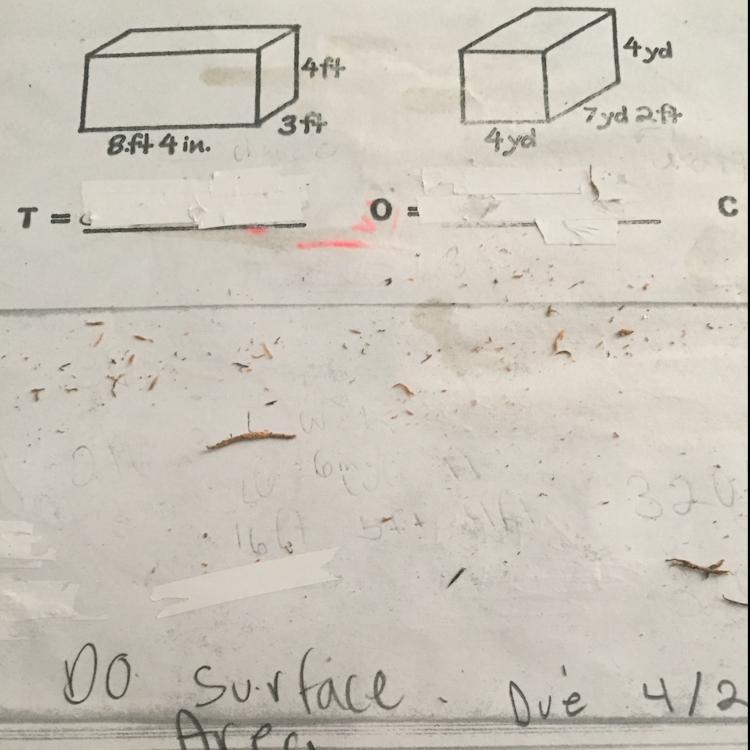 Anyone know how to do this in surface area-example-1