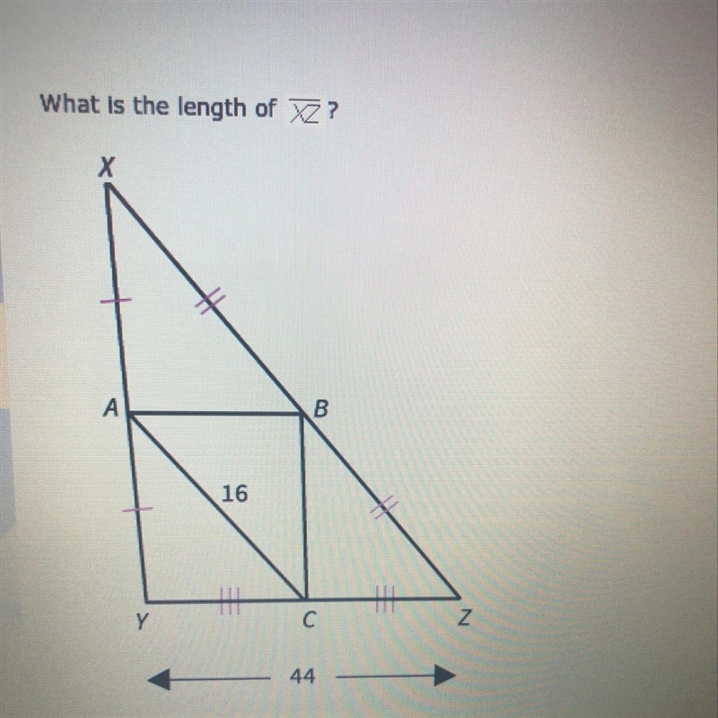 What is the length of XZ? A: 8 B:22 C:44 D:32-example-1