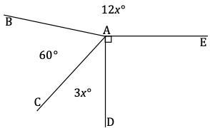 Four rays meet at a common endpoint. In a complete sentence, describe the relevant-example-1