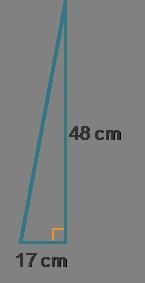 What is the length of the hypotenuse in the right triangle? A) StartRoot 2,593 EndRoot-example-1