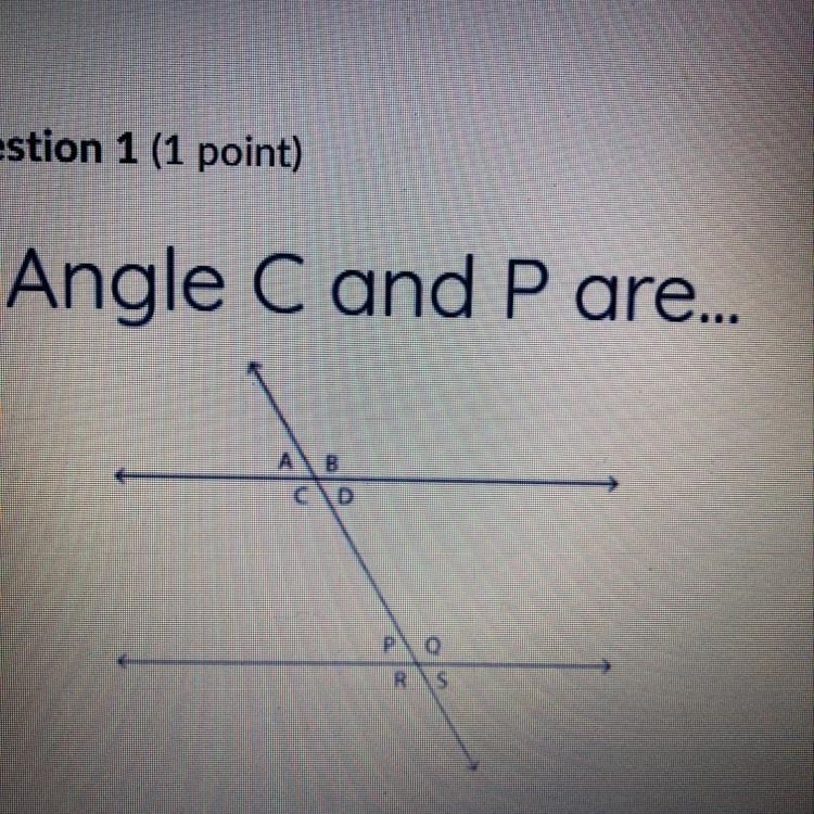 Angle C and P are PLEASE HURRT!-example-1