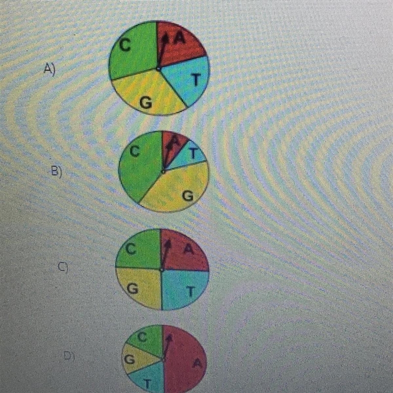 Which spinner could be used to test a uniform probability mode (It’s fine if you don-example-1