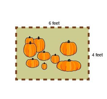 Isabella wants to put a fence around her pumpkin patch. How much fencing does Isabella-example-1