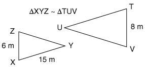 The triangles are similar isosceles triangles. What is the perimeter of ΔTUV? 20 m-example-1