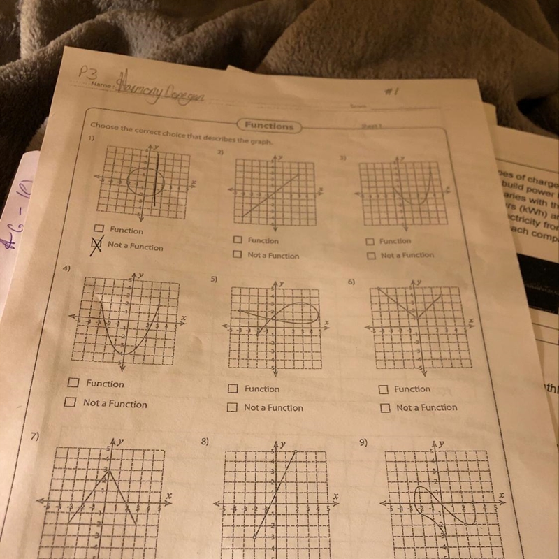 Functions- Can someone just say yes or no to each graph so I can check them off.-example-1