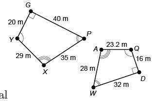 Complete the similarity statement for the two quadrilaterals given. Enter your answer-example-1