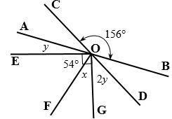 Find x and y. AB and CD are straight lines.-example-1