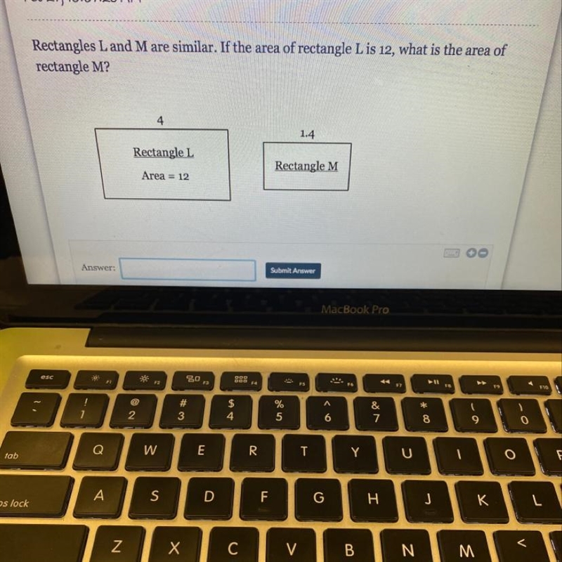 Rectangles L and M are similar. If the area of rectangle L is 12, what is the area-example-1