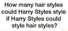 How many hair styles could harry styles style if harry styles could style hair styles-example-1