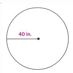 Find the circumference of the circle. Round to the nearest tenth.-example-1