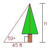 Find the height of the tree in the diagram shown. A) h = 45sin31° ft B) h = 45sin-example-1