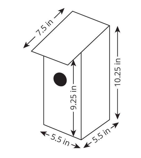 Here is a diagram of a birdhouse Elena is planning to build. (It is a simplified diagram-example-1