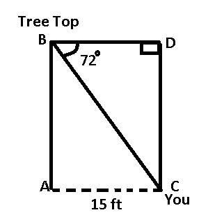 24. A cat is stuck in a tree in Steve's yard. The cat's angle of depression looking-example-1