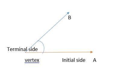 In circle L, arc MNOP is 120° and the radius is 5 units. Which statement best describes-example-1