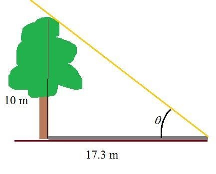 A tree 10 meters high casts a 17.3 meter shadow. Find the angle of elevation of the-example-1