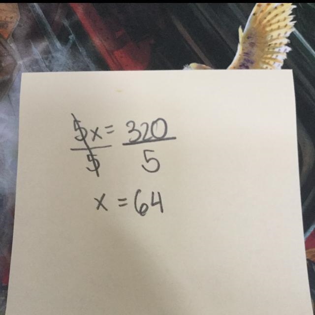 Find the real solution(s) by solving for x (round any decimals to the nearest 100th-example-1