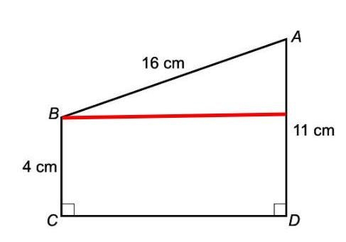 Calculate the missing measure of the line?-example-1