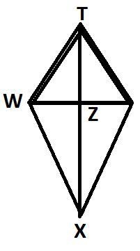 11. Given the kite shown below with TW=5 cm, TX = 12 cm and TZ = 4 cm. W Which of-example-1