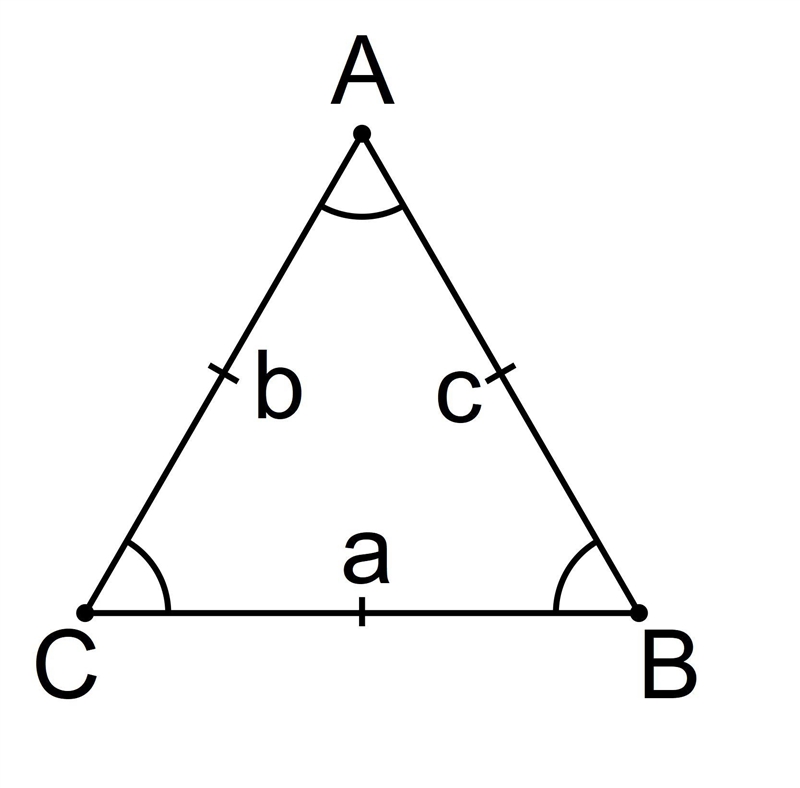 Write three facts about the triangle ABC-example-1