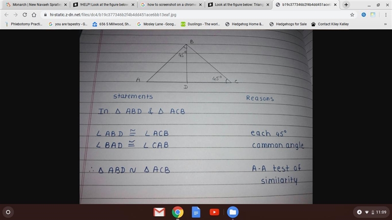 !HELP! Look at the figure below: *look at image attached* Make a two-column proof-example-1