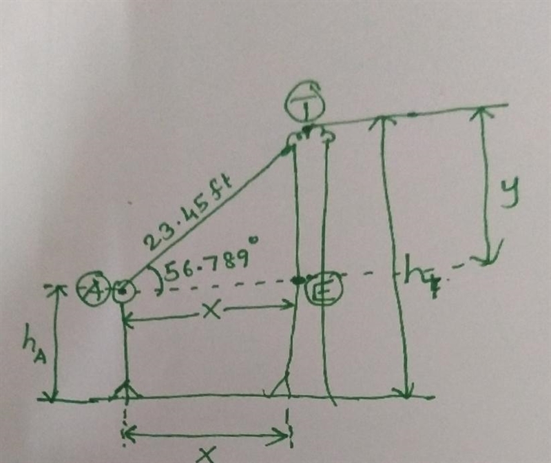 From Alexa's eyesight to the top of the tree has an angle of 56.789 degrees and its-example-1