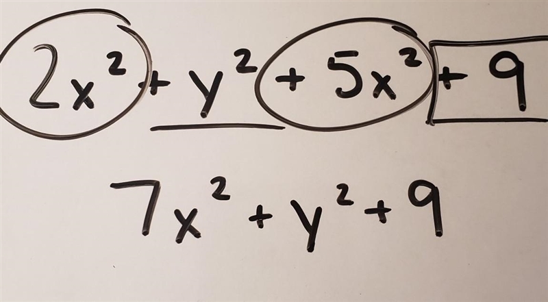 2x squared + y squared + 5x squared + 9-example-1