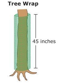 and your 13 is scientist will put tree wrap around the tree one to protect it from-example-2