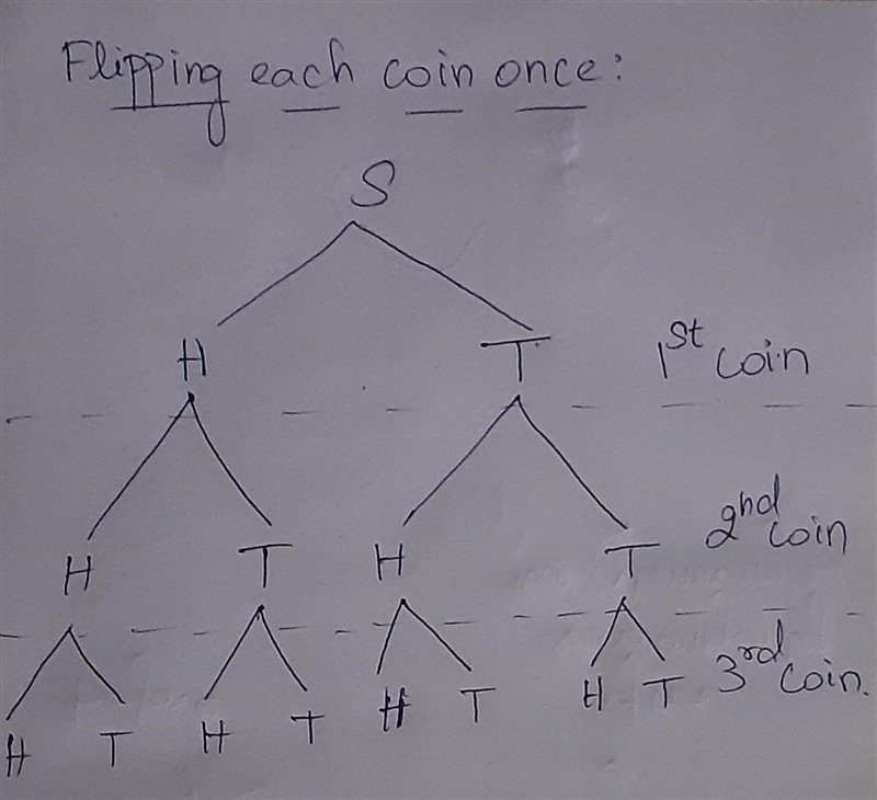 Sketch a tree diagram to represent the sample space of flipping each of the following-example-1