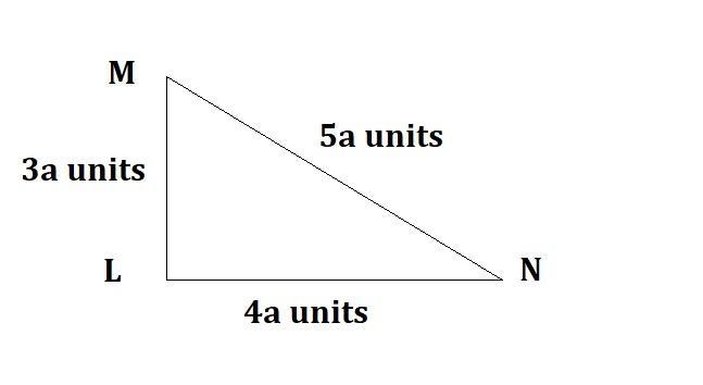 Position abc label the triangle on the coordinate plane right LMN with hypotenuse-example-1