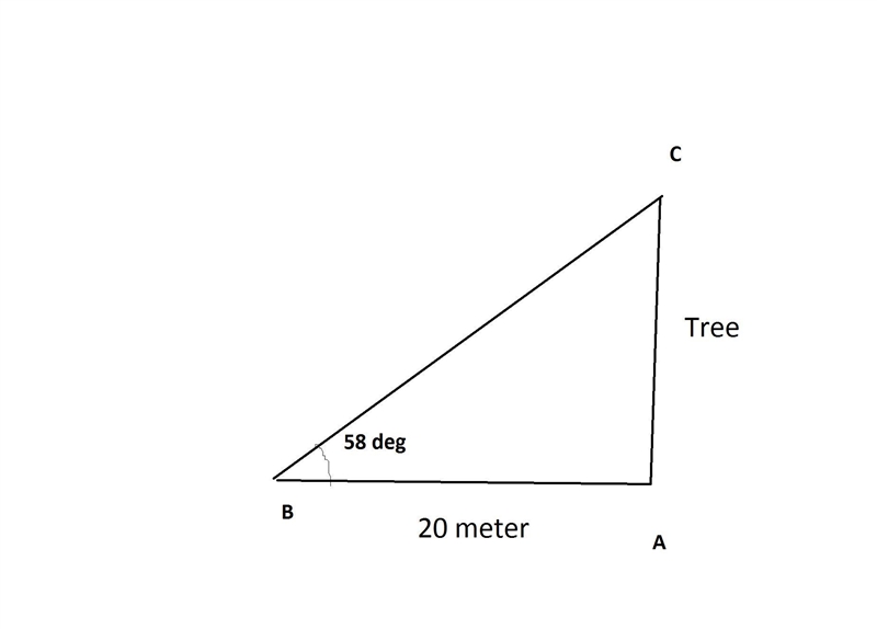 7. The sun is at an angle of elevation of 58º. A tree casts a shadow 20 meters long-example-1