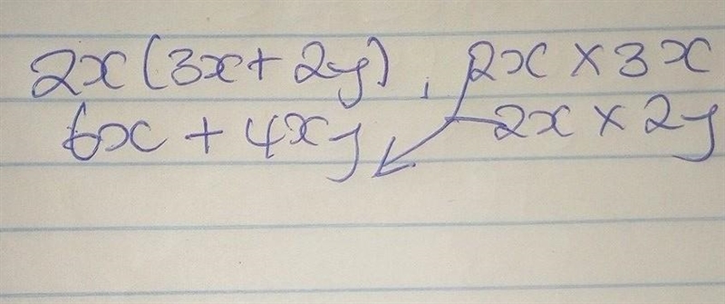 Expand this equation 2x(3x + 2y)-example-1