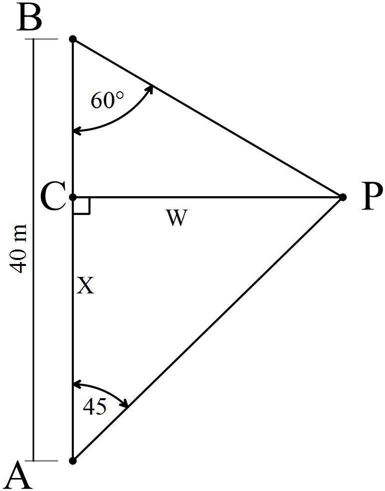 David wants to measure the width of a road he chooses two points, A and B, 40m apart-example-1