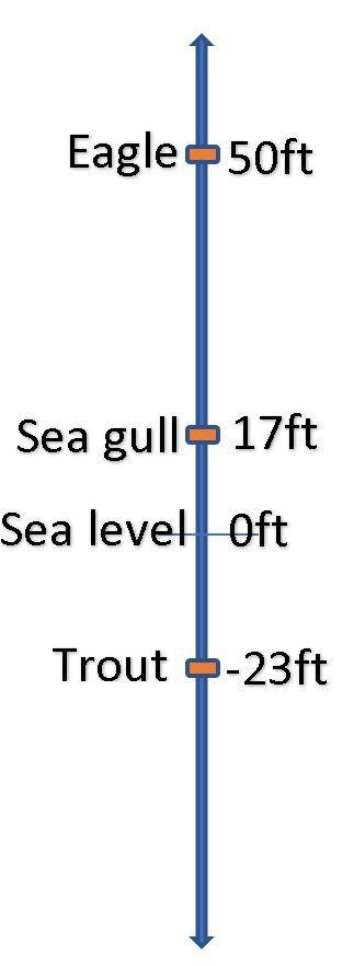 A eagle has landed in a tree 50 feet above sea level. Directly below the eagle, a-example-1