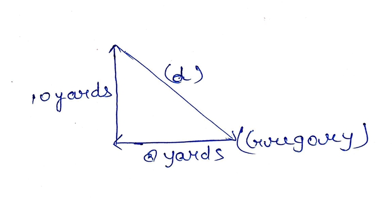 Alonso stands 8 yards west of Gregory. He then walks 10 yards north and discovers-example-1