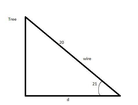 Aguy wire for a tree is 20 ft. long, making a 21oangle with the ground. How far is-example-1